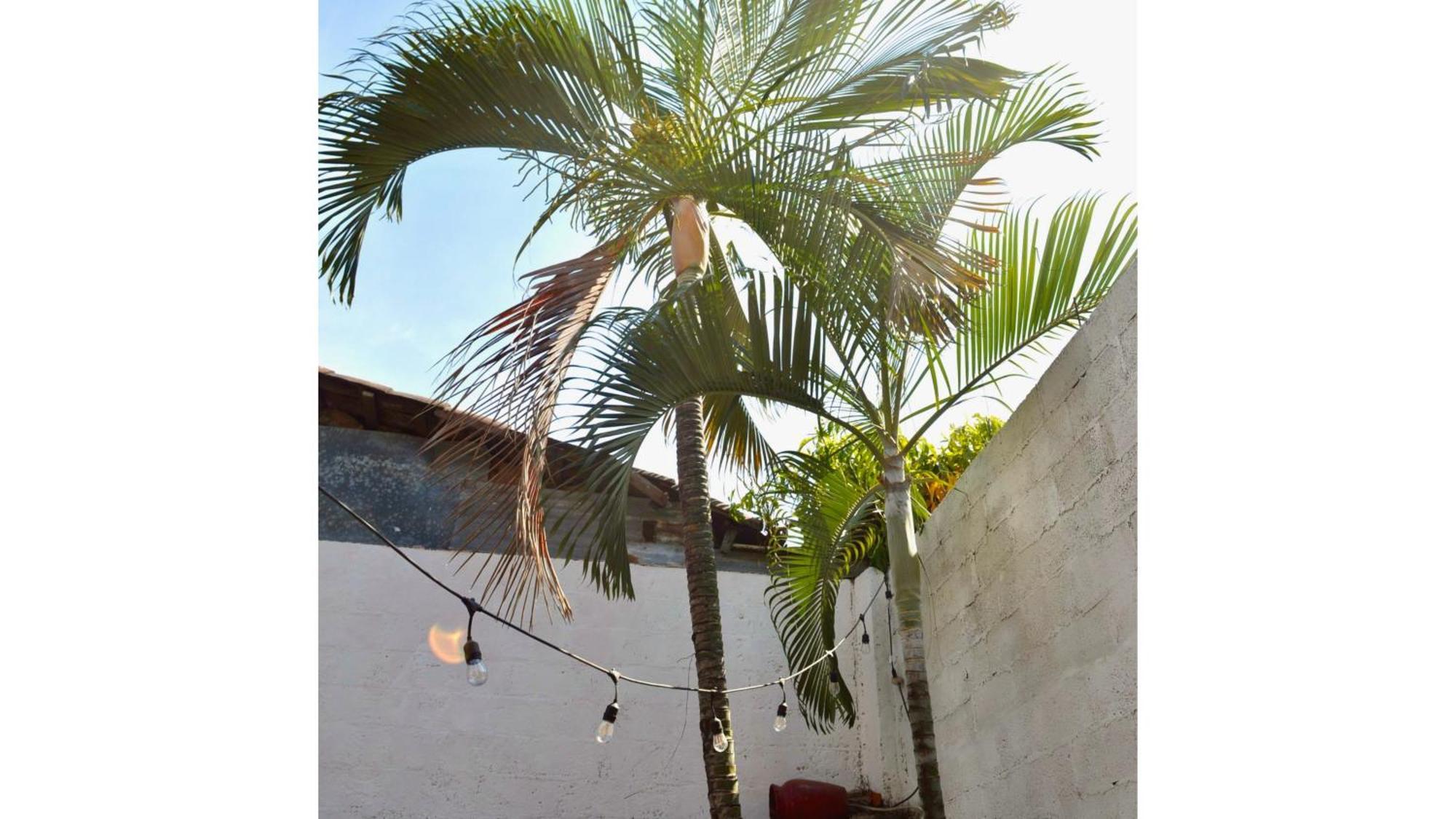 Casa Coco Hostel Santa Ana Zewnętrze zdjęcie